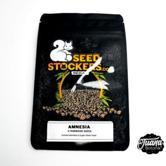 semillas de amnesia seedstocker