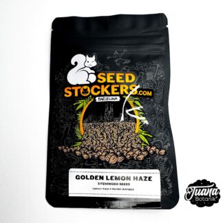 semillas de cannabis golden lemon haze seedstocker